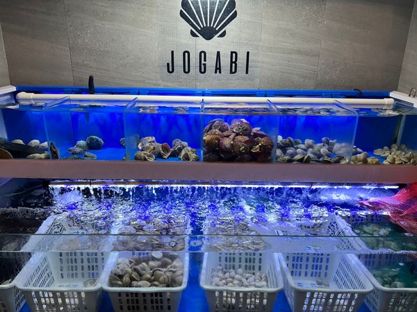 大韓民国 (韓国)「ソウル」の写真