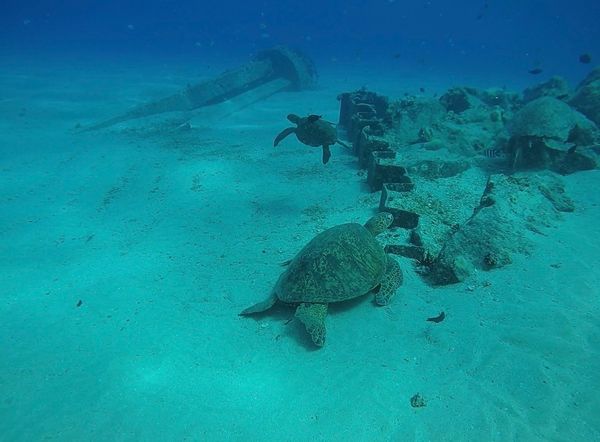 アメリカ(米国)「Hawaii 」の写真