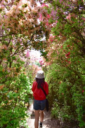 松本ツツジ園