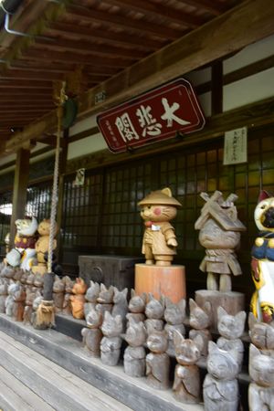 雲林寺
猫寺