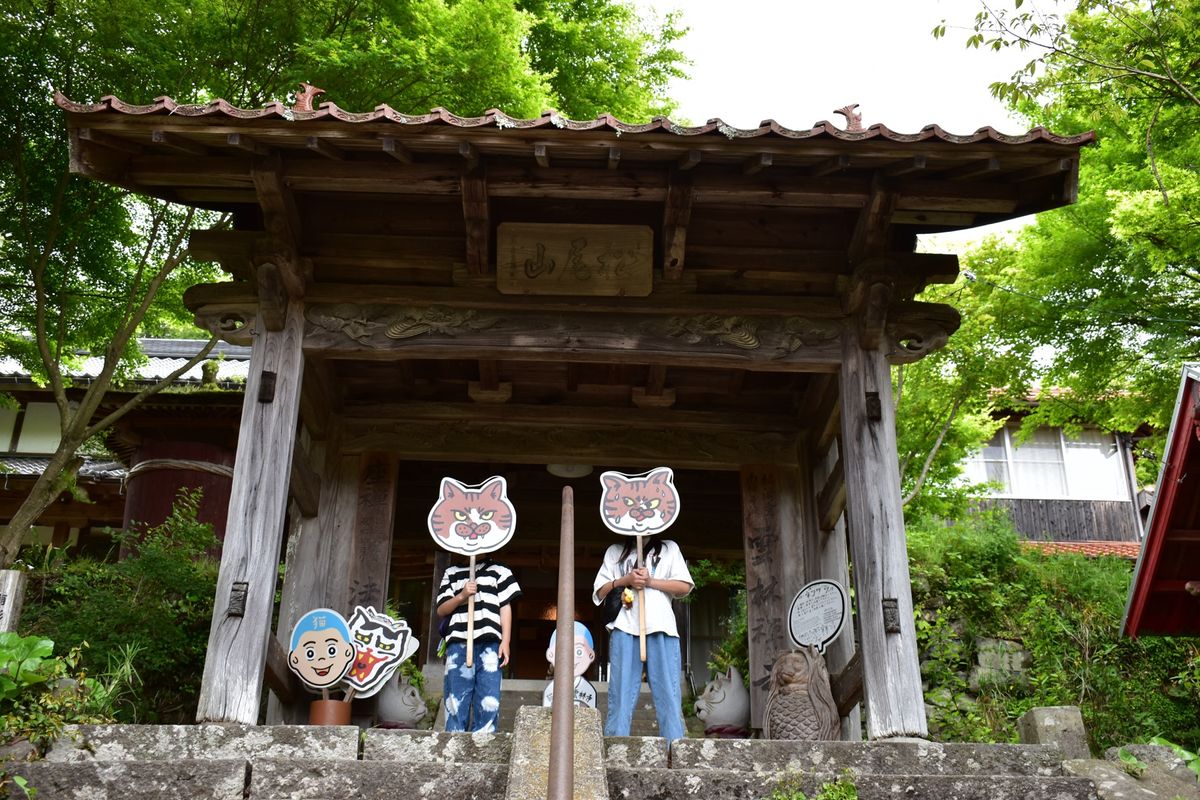 雲林寺
猫寺