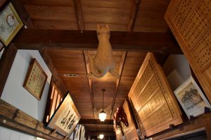 雲林寺
猫寺