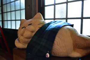 雲林寺
猫寺