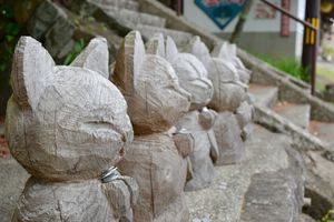 雲林寺
猫寺