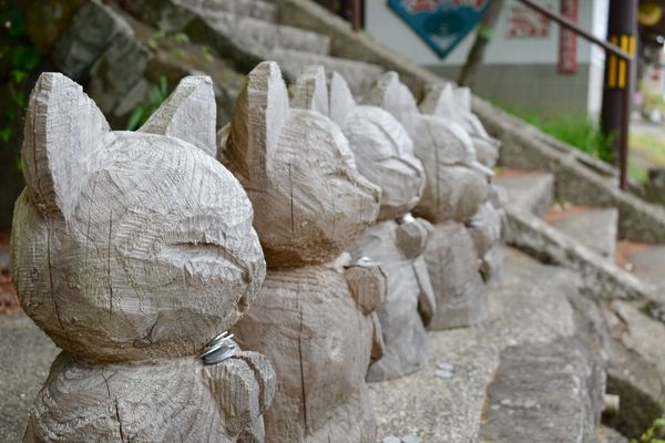 日本・山口県「山口旅行(長門市・萩市)」の写真：雲林寺
猫寺
