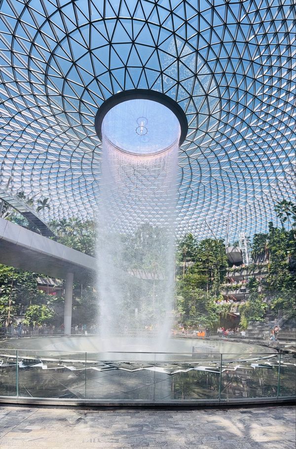 シンガポール「シンガポール20年以上ぶり」の写真