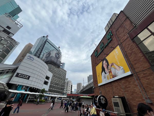 日本・東京「松平健 ファンの集い旅行」の写真