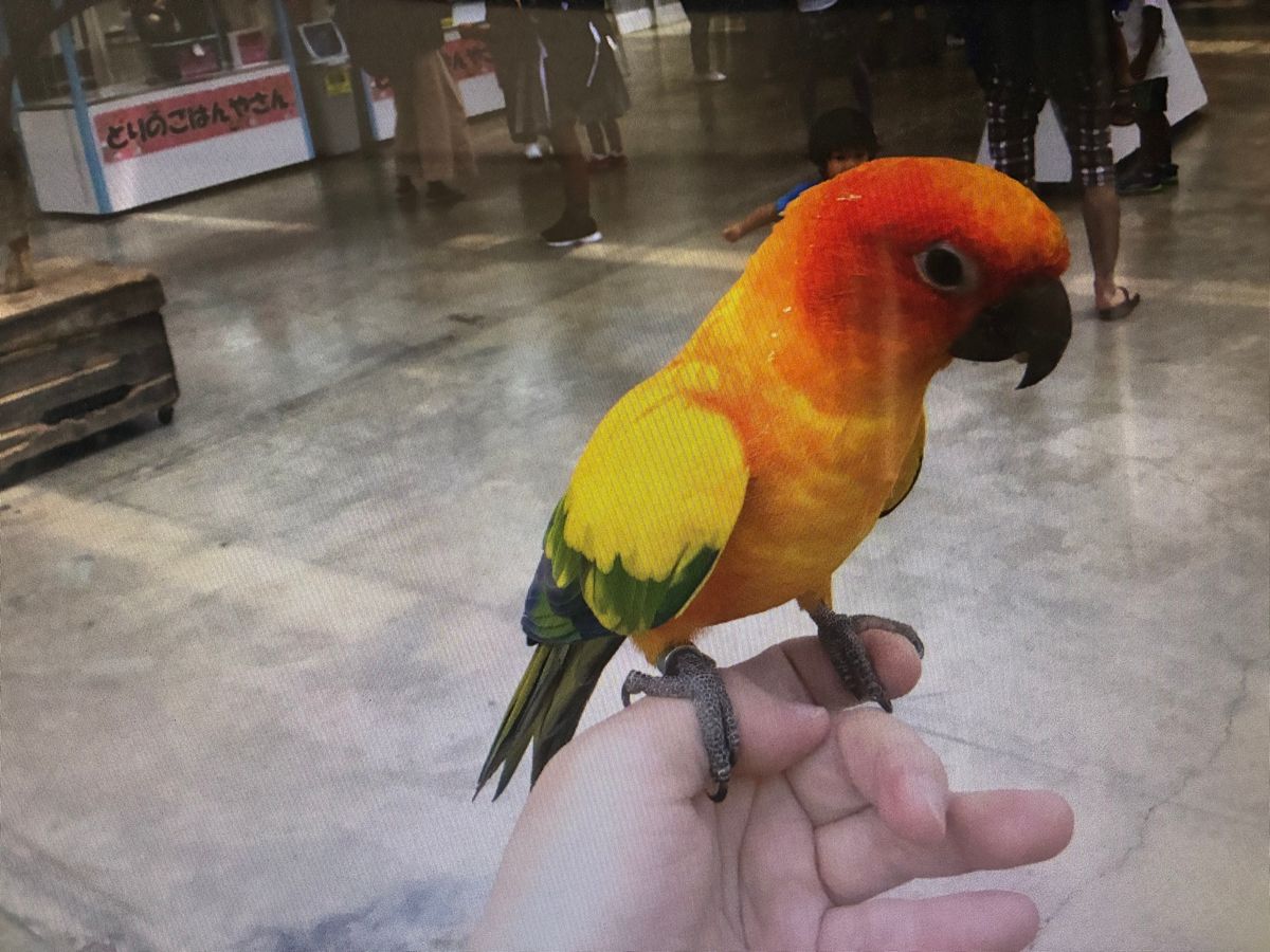 楽しかったよ！