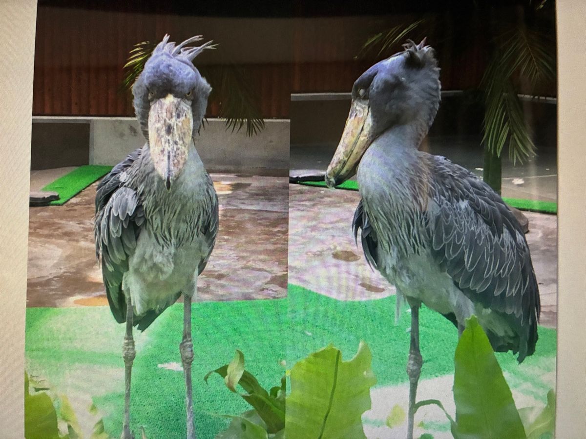 楽しかったよ！