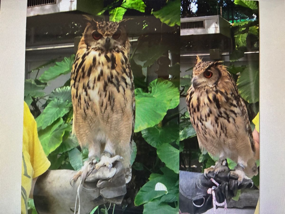 楽しかったよ！