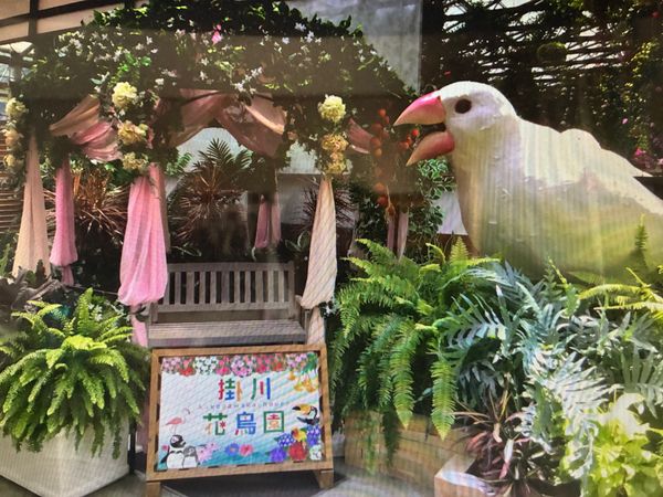 日本・掛川市「花鳥園」の写真：楽しかったよ！