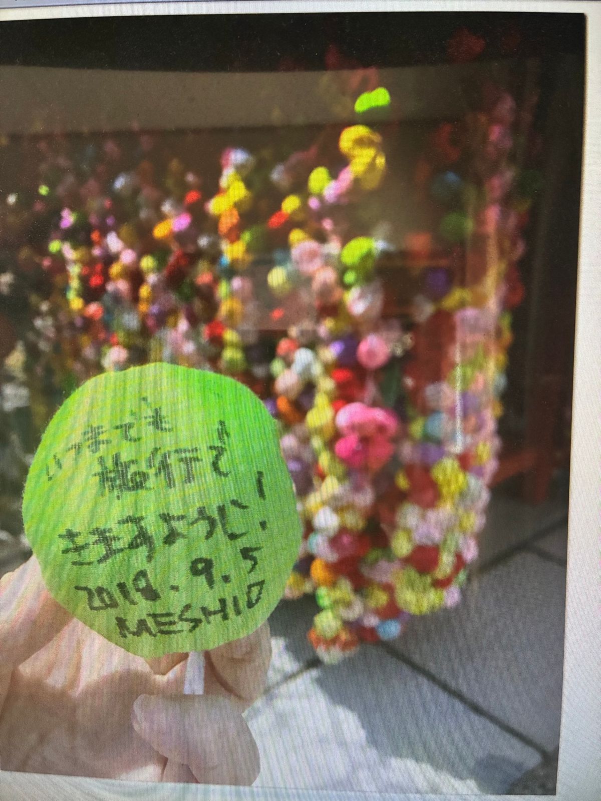 お寺のバスツアー
こっそり抜け出して
お散歩