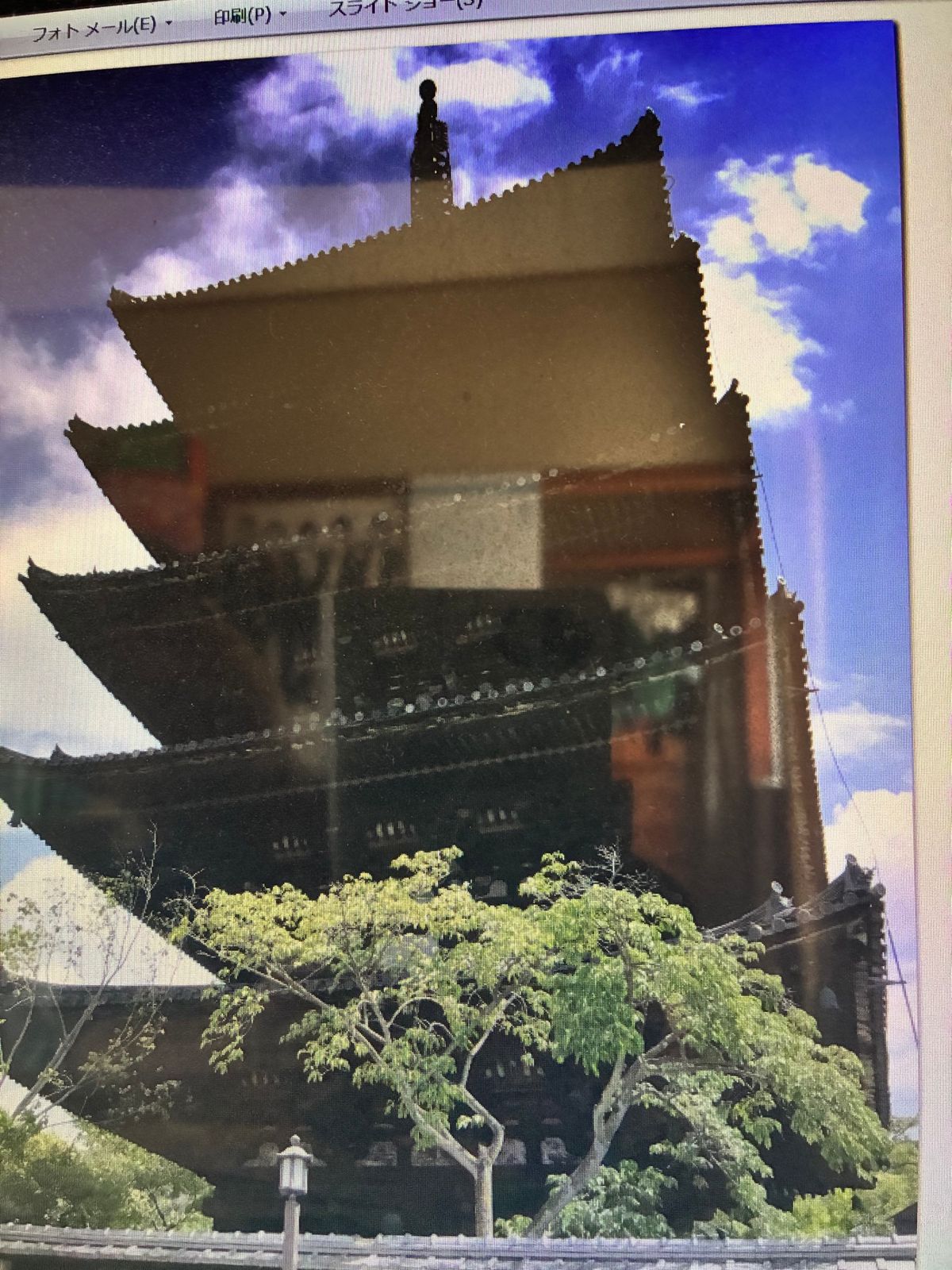 お寺のバスツアー
こっそり抜け出して
お散歩