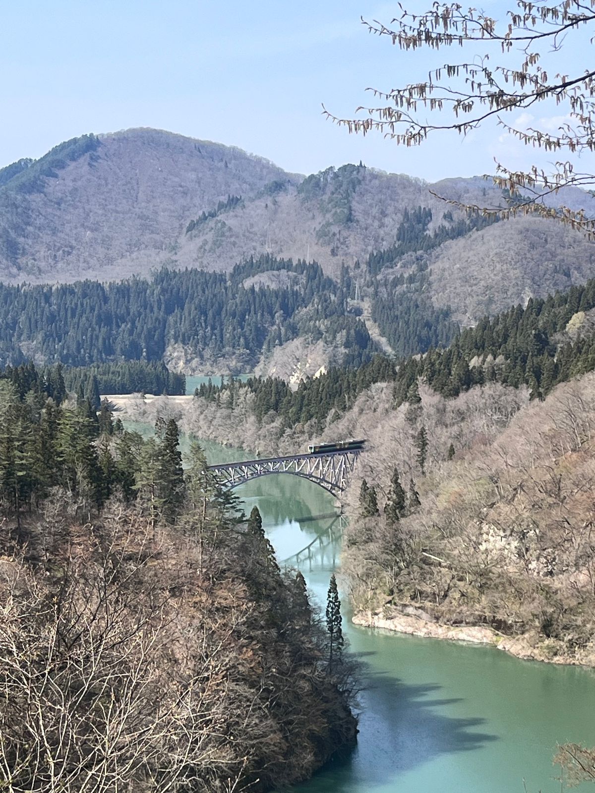 朝たまたまGoogleで見つけたパン屋さんも美味しかったからまたいきたいな...