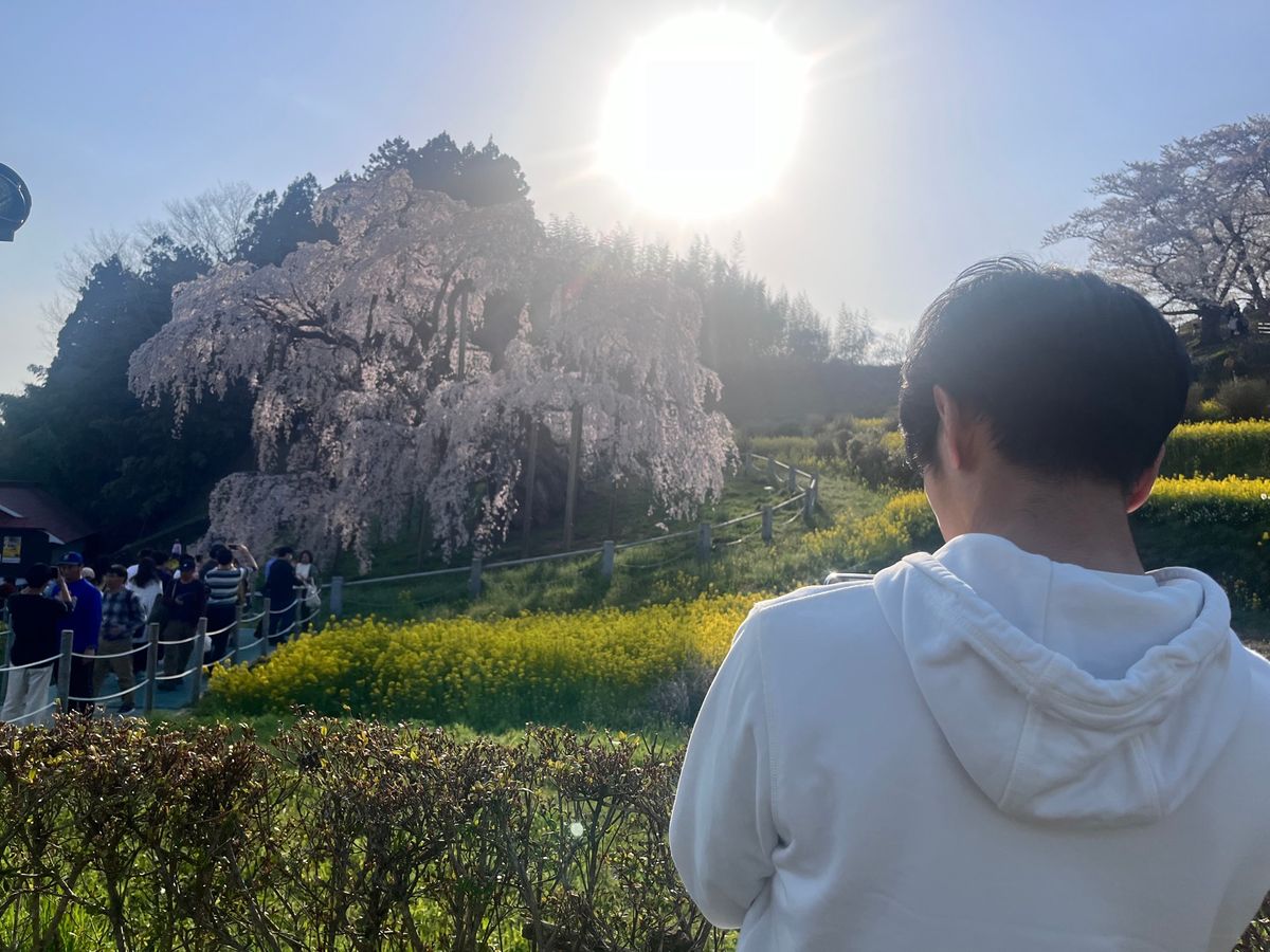 朝たまたまGoogleで見つけたパン屋さんも美味しかったからまたいきたいな...