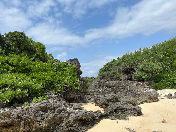 日本・沖縄県宮古島「宮古島」の写真