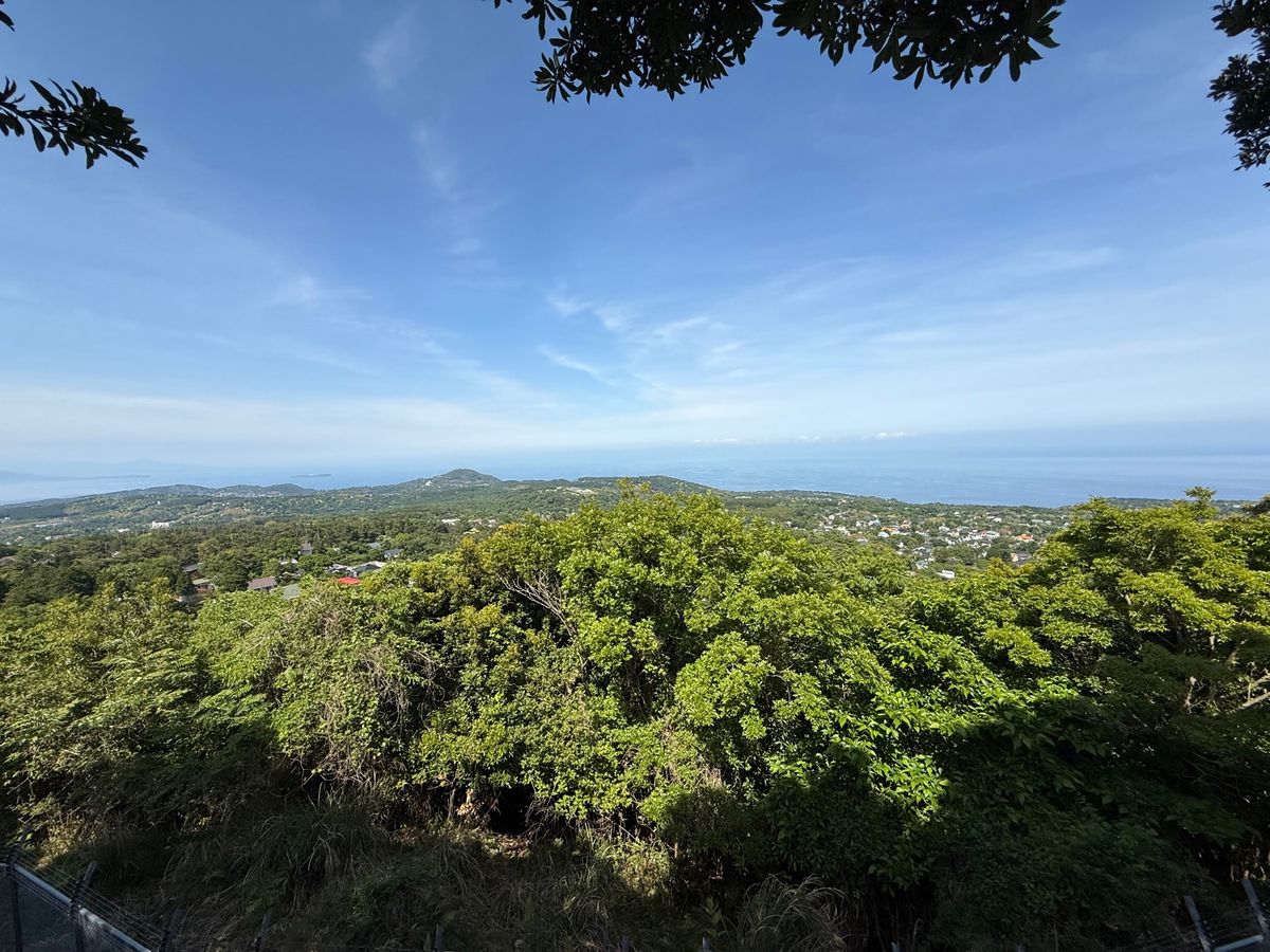 景色綺麗だなぁと思い…！