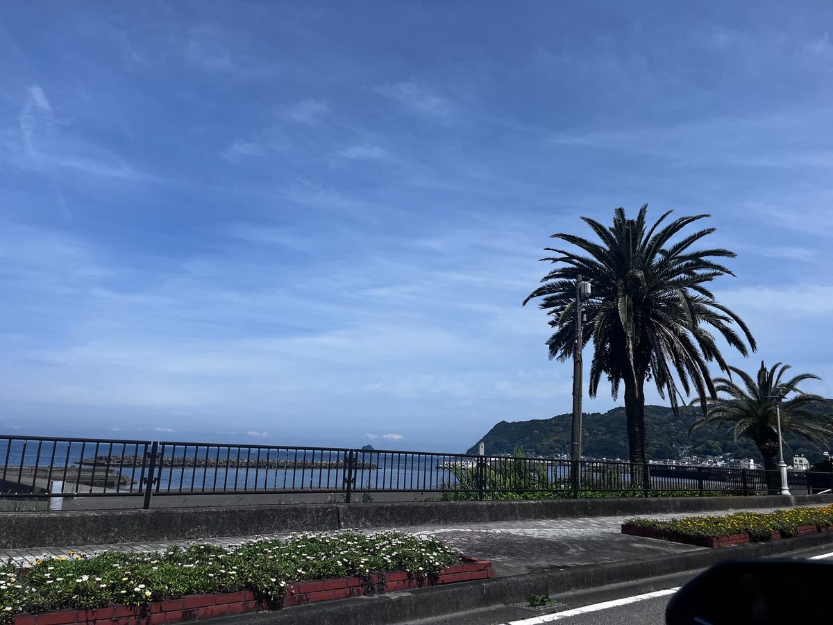 景色綺麗だなぁと思い…！