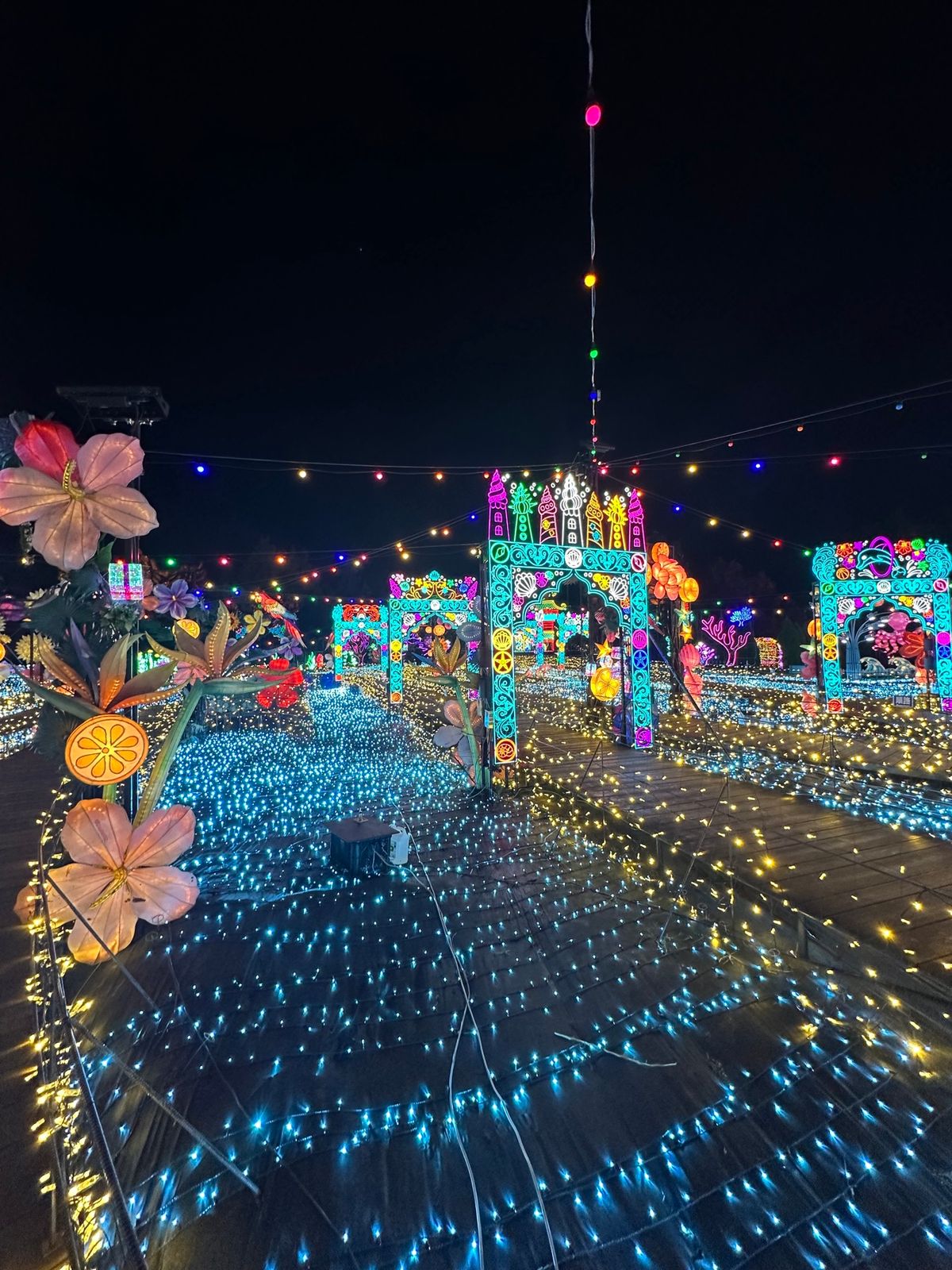 こんなに広くて大迫力なイルミネーションは初めて！！