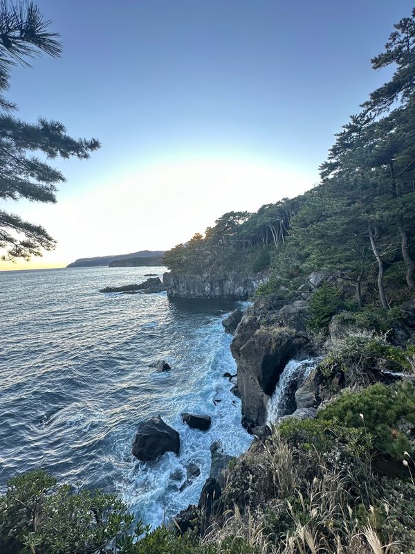 日本・伊豆「✈️伊豆旅行」の写真：自然・滝好きとして外せなかったスポット🌱...
