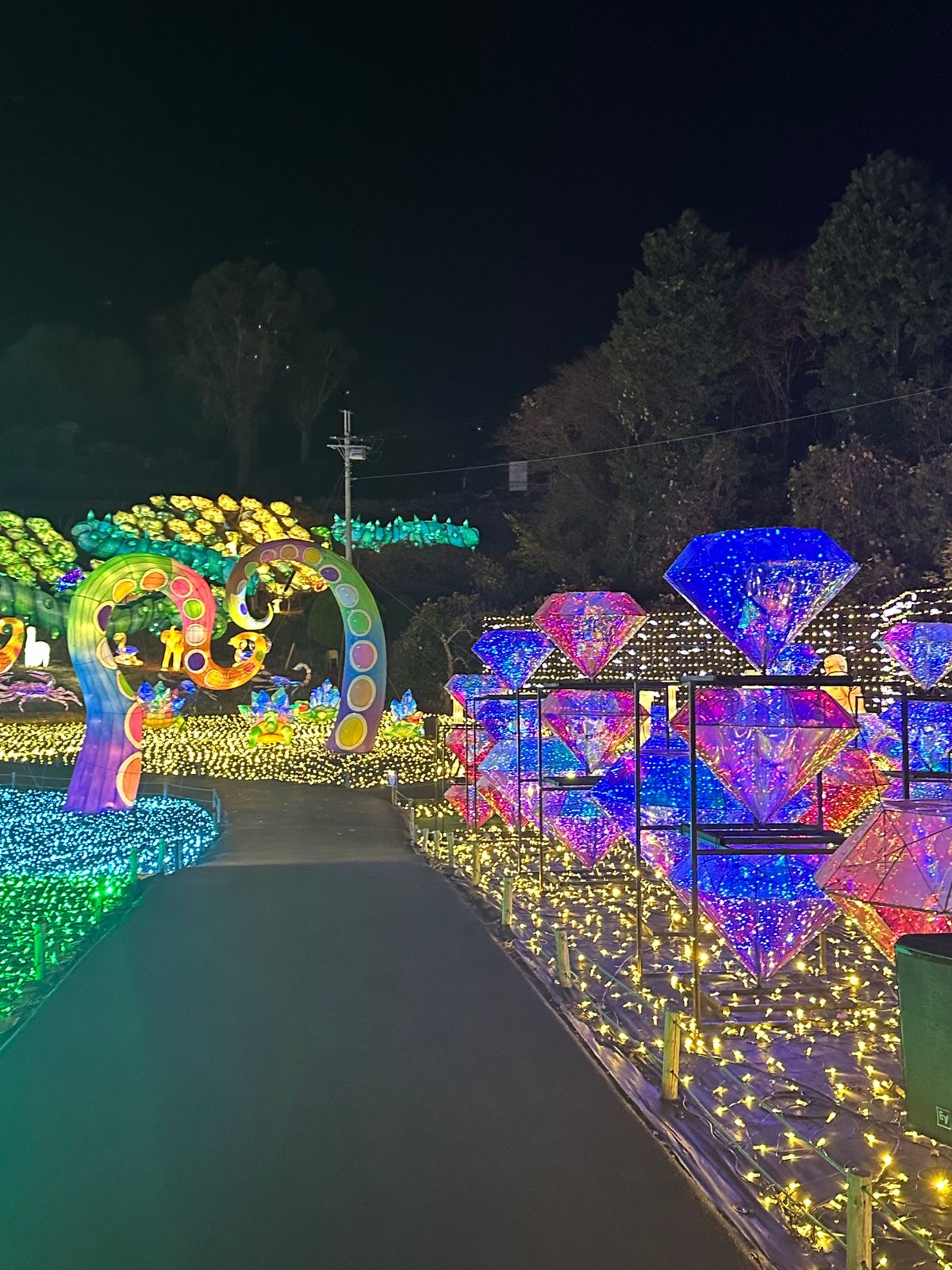 こんなに広くて大迫力なイルミネーションは初めて！！