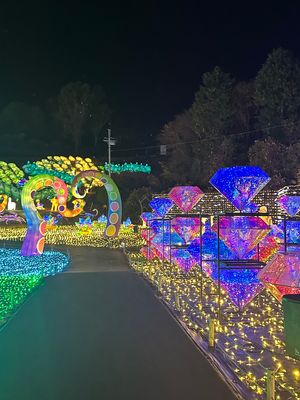 こんなに広くて大迫力なイルミネーションは初めて！！