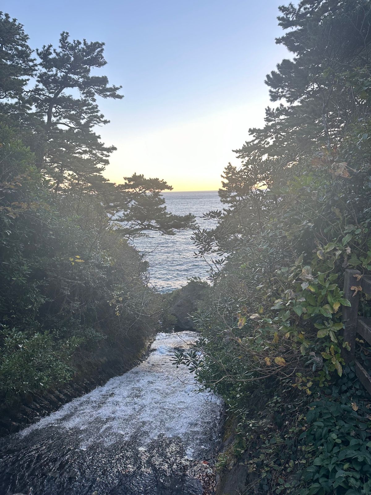 自然・滝好きとして外せなかったスポット🌱‬‪
風もあって吊橋怖かったけど綺...