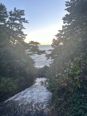 自然・滝好きとして外せなかったスポット🌱‬‪
風もあって吊橋怖かったけど綺...