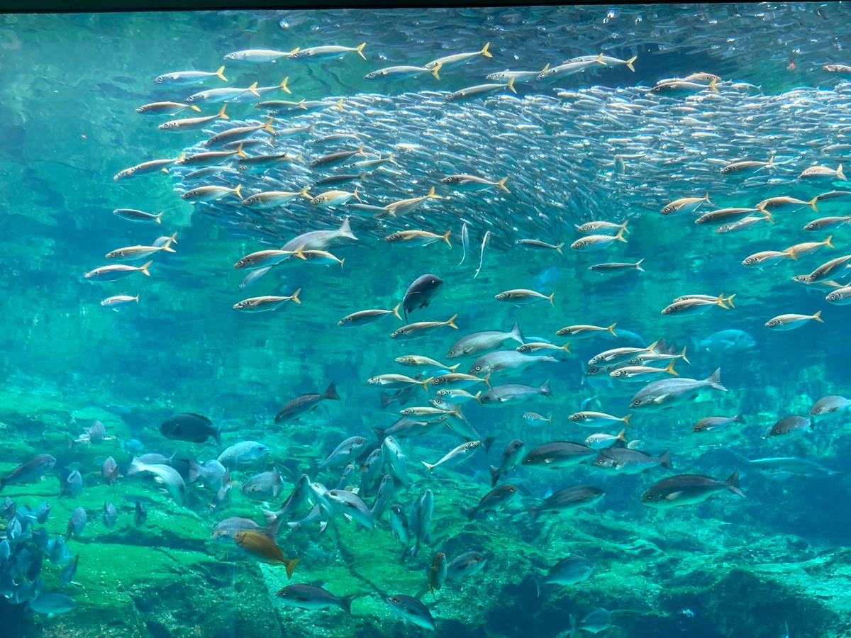 2日目は雨女発揮☔️
