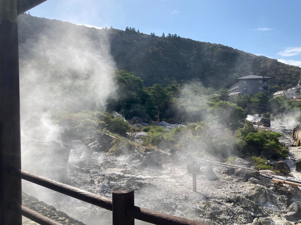 旅の締めくくり！！
可愛い猫ちゃんもいた🐱