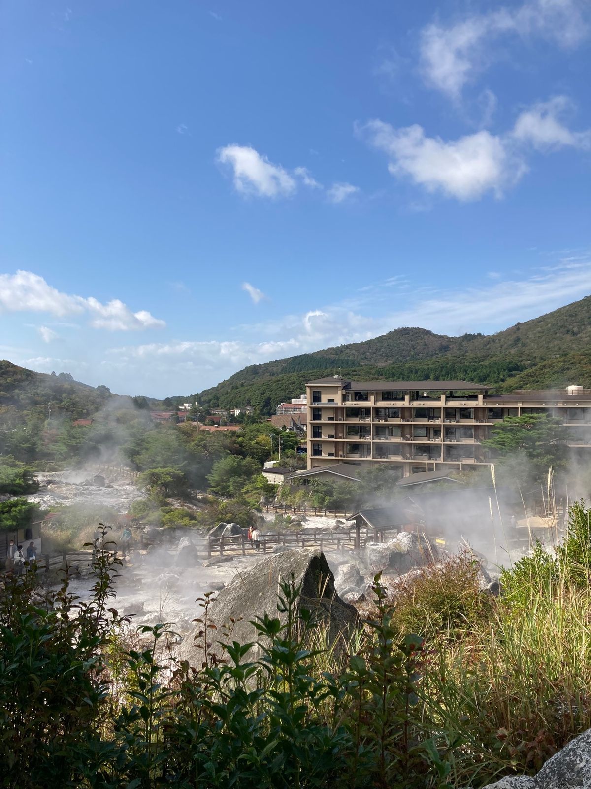 旅の締めくくり！！
可愛い猫ちゃんもいた🐱