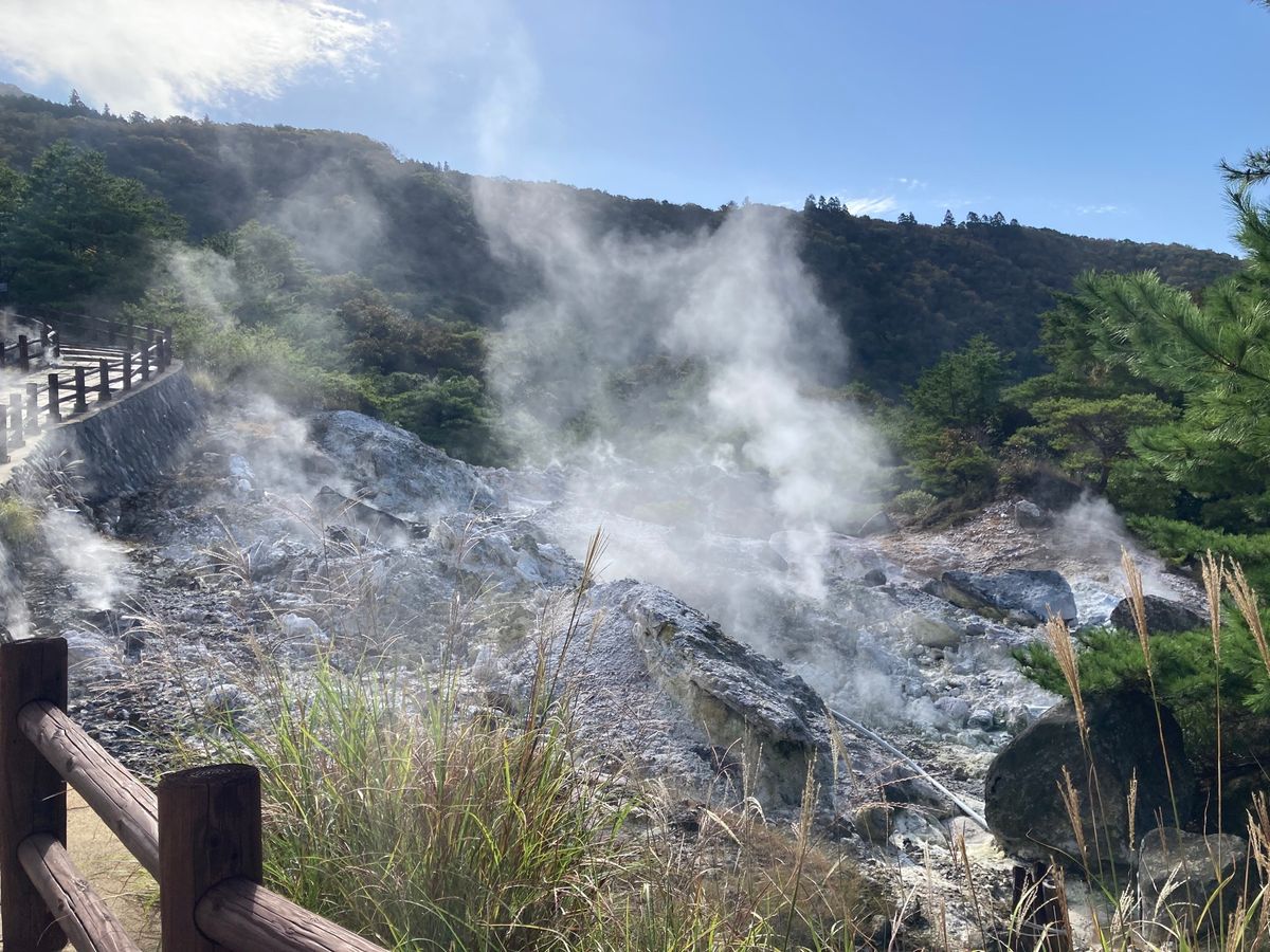 旅の締めくくり！！
可愛い猫ちゃんもいた🐱