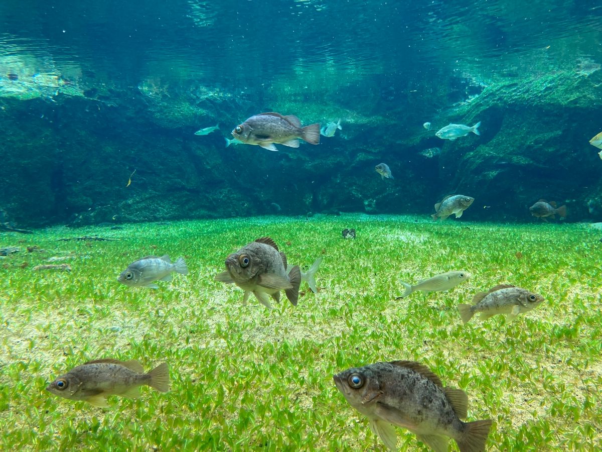 2日目は雨女発揮☔️
