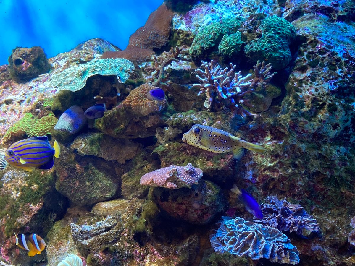 2日目は雨女発揮☔️