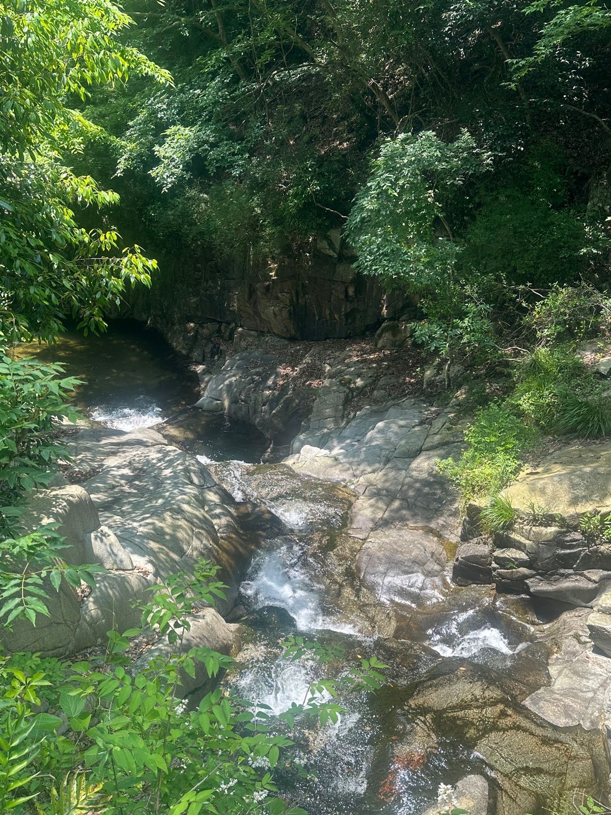 3日目！！
滝好きとして旅行のどこかでひとつは行きたかった！！
道中はほぼ...