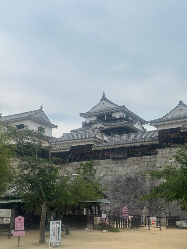 日本・徳島県「✈️愛媛〜兵庫旅行」の写真：松山城🏯