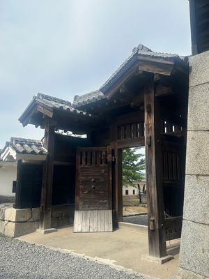 松山城🏯