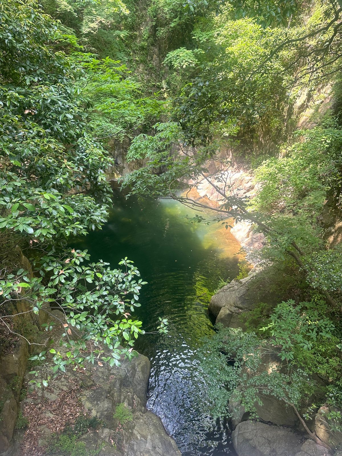 3日目！！
滝好きとして旅行のどこかでひとつは行きたかった！！
道中はほぼ...