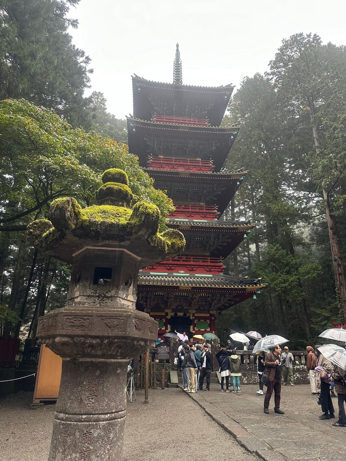 土砂降りすぎて途中で全館停電した…！笑