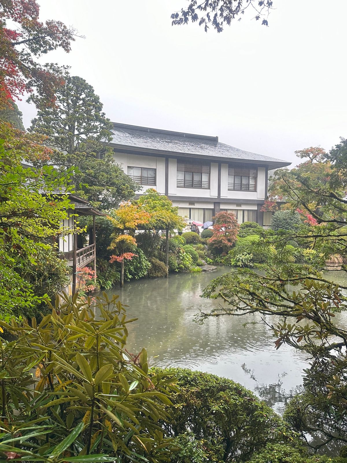 土砂降りすぎて途中で全館停電した…！笑