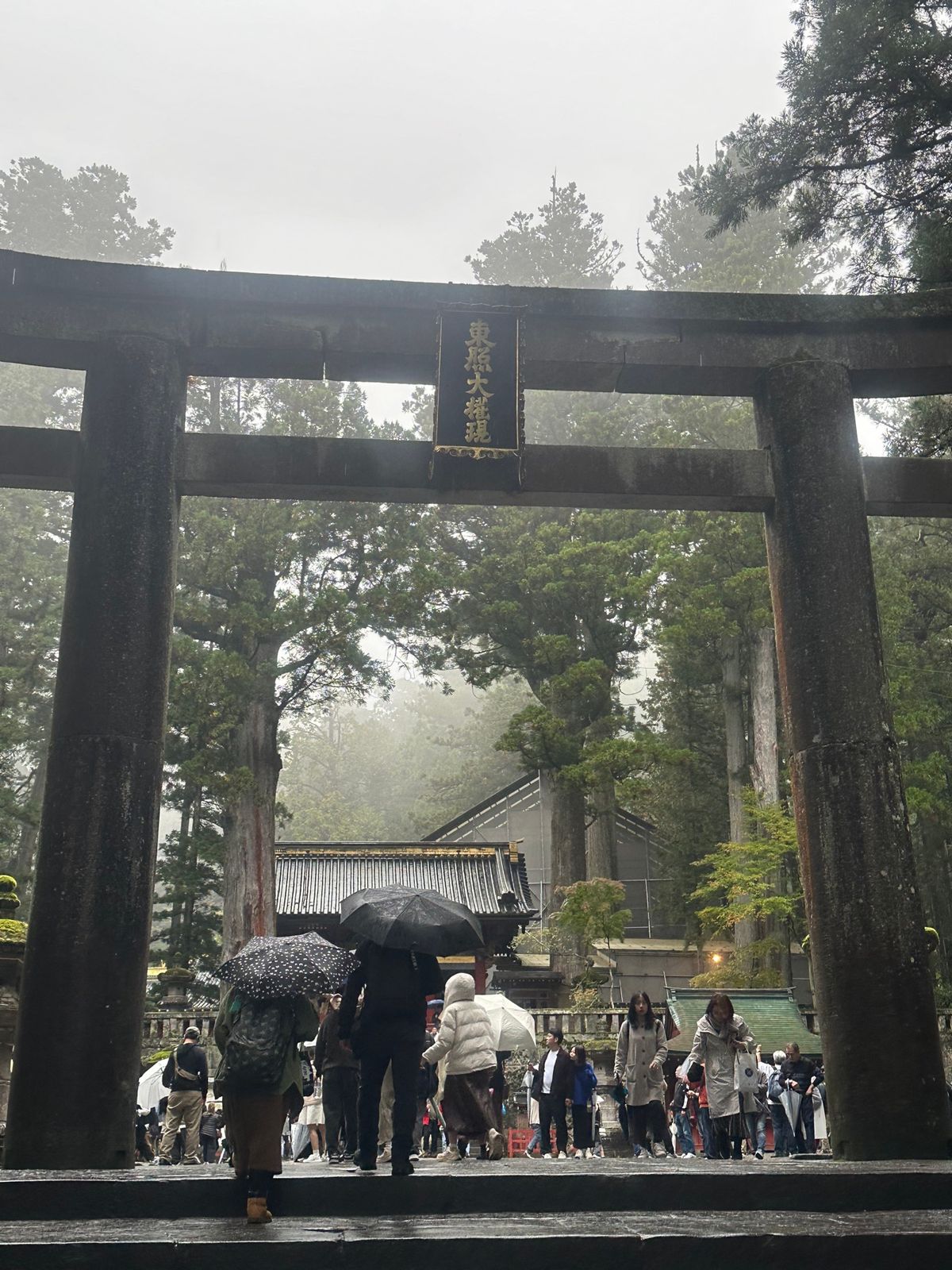 土砂降りすぎて途中で全館停電した…！笑