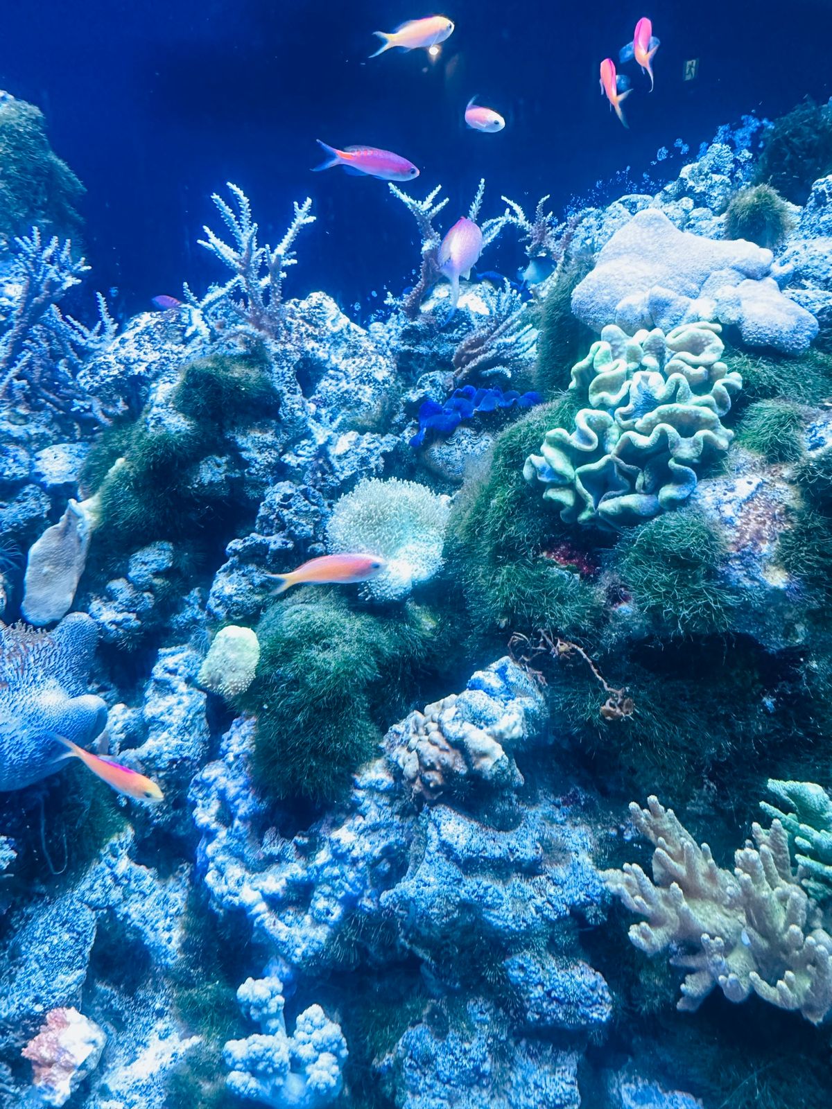 旅の始まりは東京から！