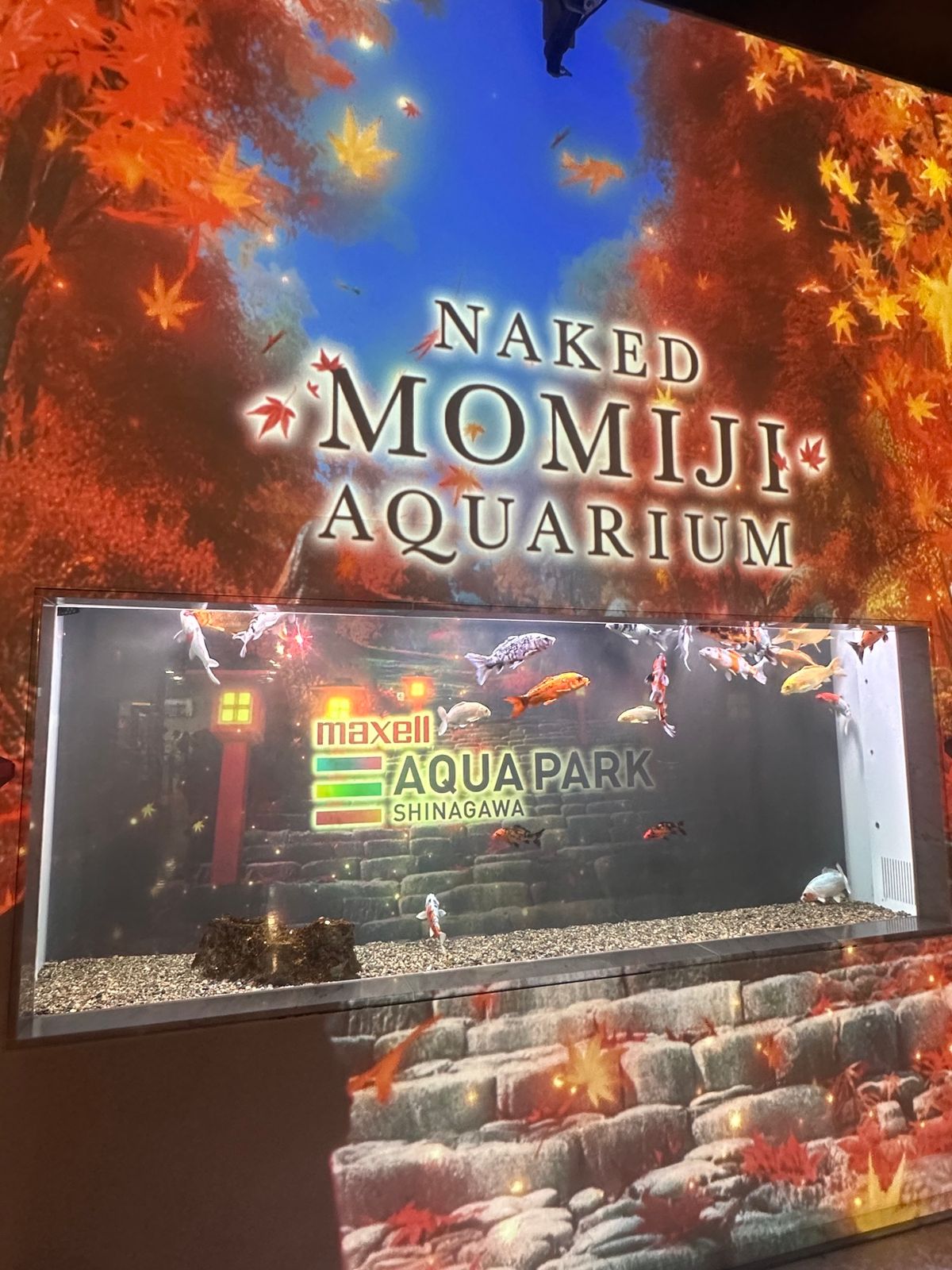 旅の始まりは東京から！