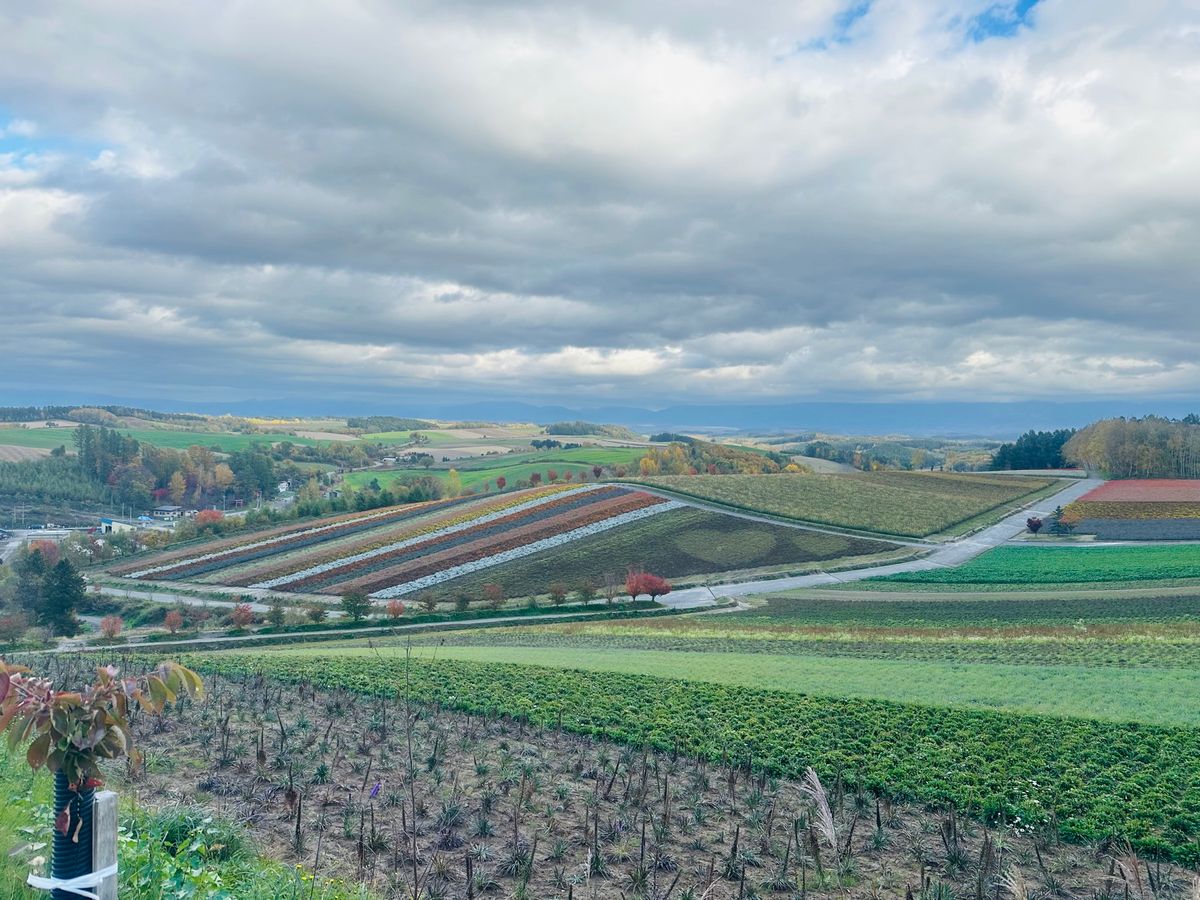 アルパカ可愛かった！！