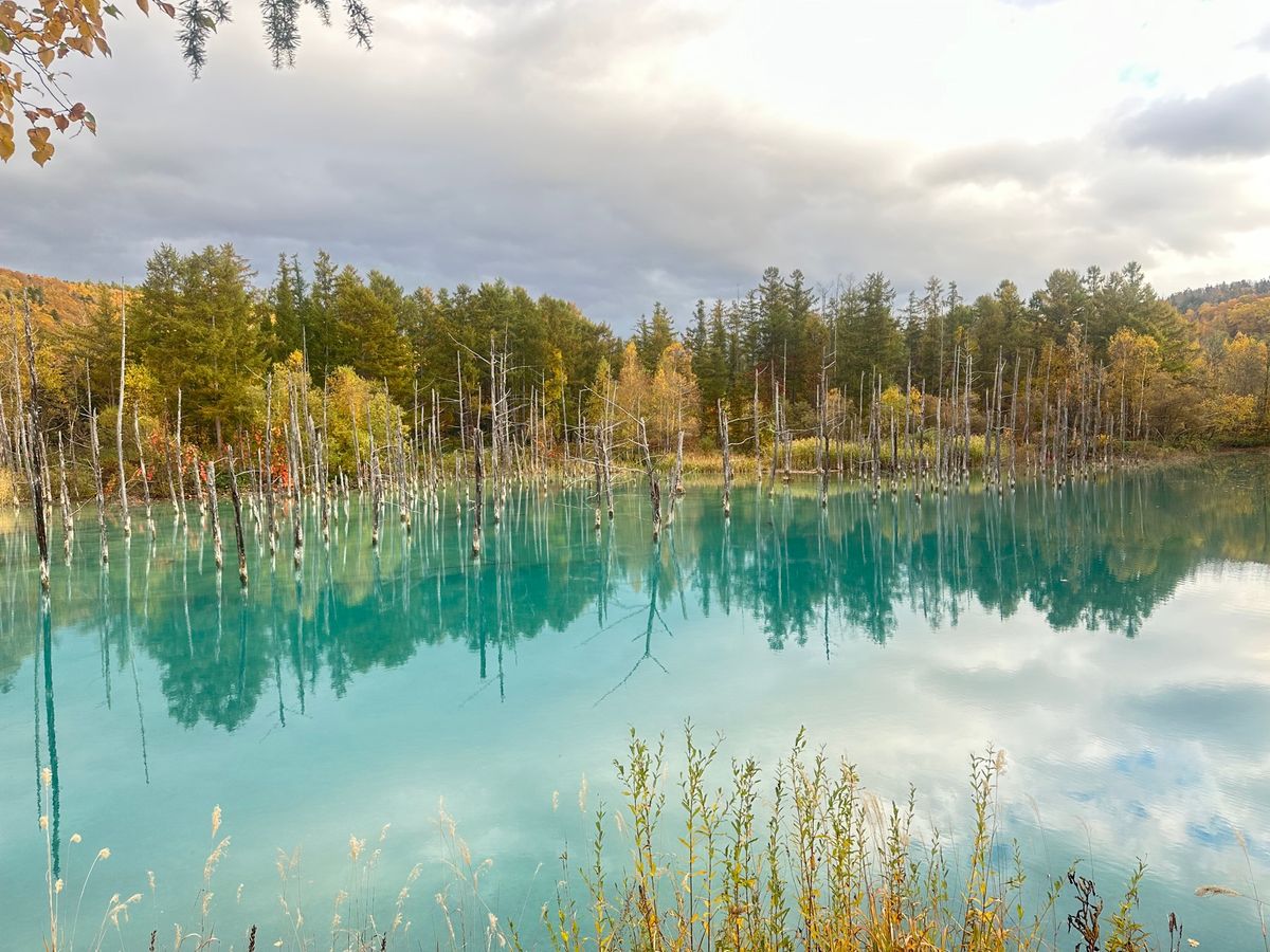 綺麗すぎたー！！