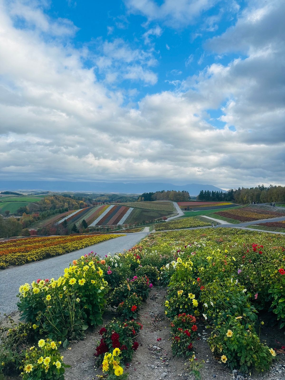 アルパカ可愛かった！！