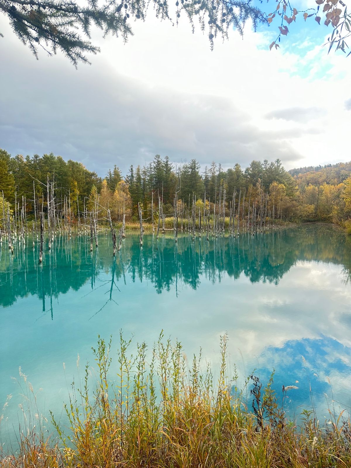 綺麗すぎたー！！
