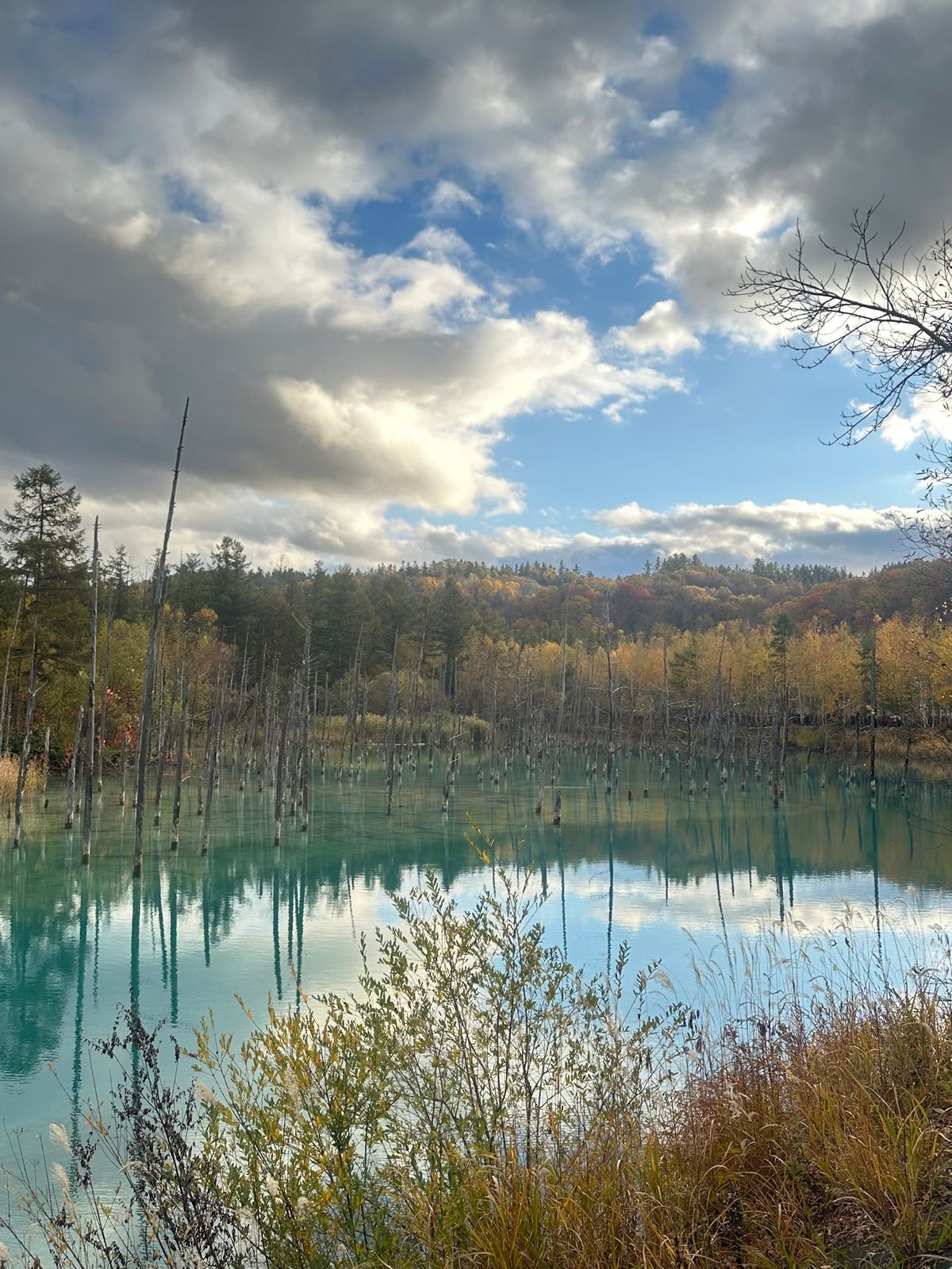 綺麗すぎたー！！