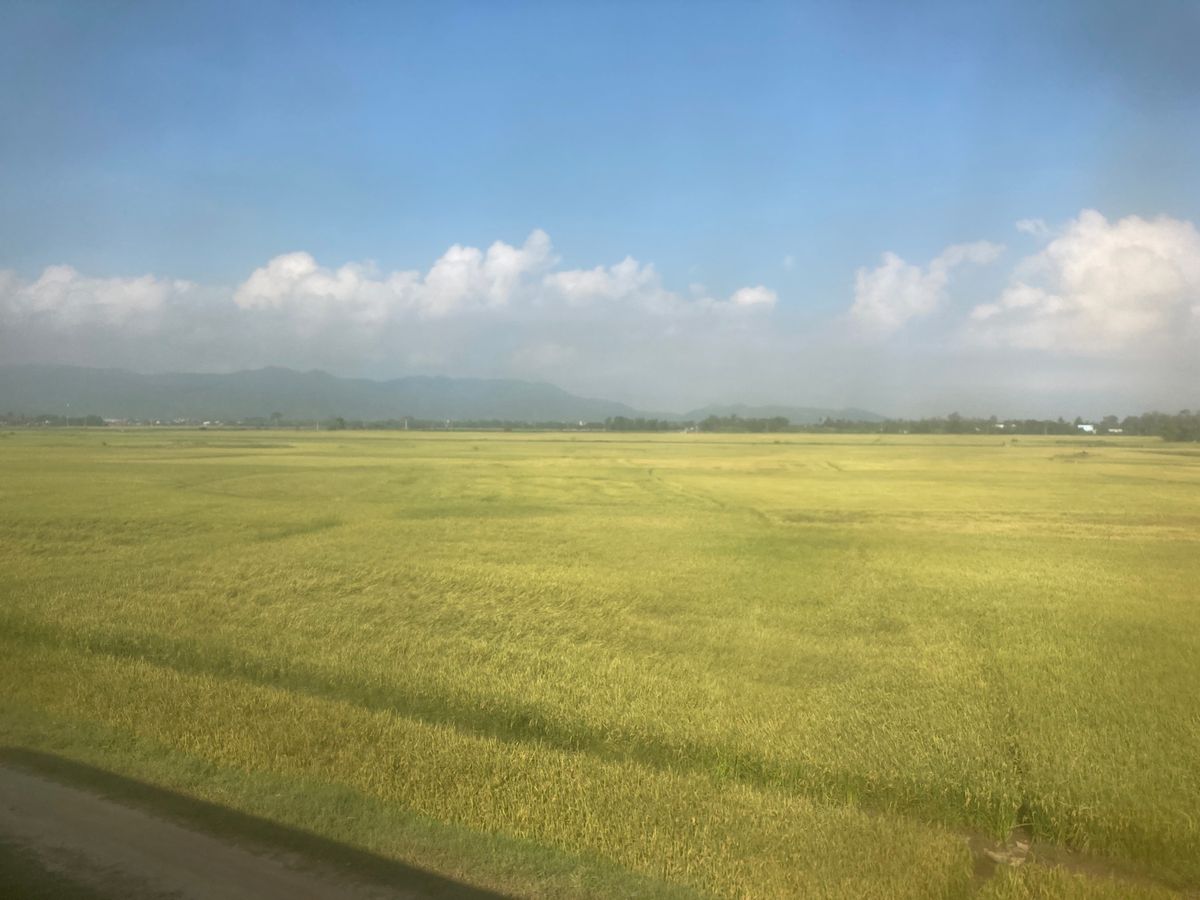 翌朝、順調にベトナム中部を走る列車。隣のコンパートメントのおじさんがお手製...