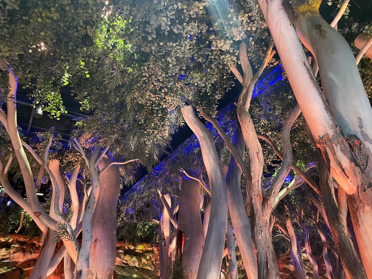 オーストラリア館